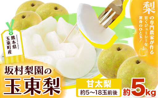 梨 なし 甘太梨 約5kg(5〜18玉前後) 坂村梨園 [8月中旬-11月上旬頃出荷]熊本県 玉東町 秋 旬 梨 フルーツ 果物 期間限定