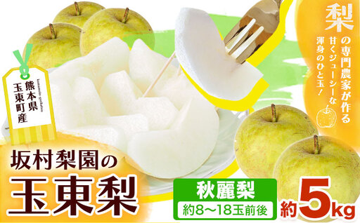 梨 なし 秋麗梨 約5kg(5〜18玉前後) 坂村梨園 [8月中旬-11月上旬頃出荷]熊本県 玉東町 秋 旬 梨 フルーツ 果物 期間限定