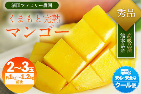 くまもと完熟マンゴー 2～3玉『清田ファミリー農園』熊本【日付指定不可】