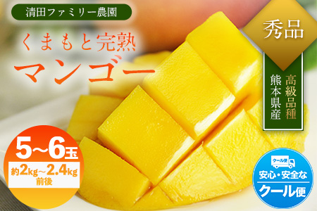 くまもと完熟マンゴー 5～6玉(約2kg～2.4kg前後) 熊本県玉名郡玉東町『清田ファミリー農園』マンゴー 完熟 秀品【日付指定不可】《5月下旬-8月末頃出荷》