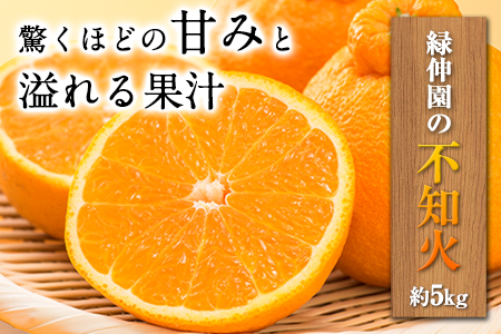 『緑伸園』の不知火・肥の豊 約5kg あのデコポンと同品種《12月中旬-1月下旬出荷》