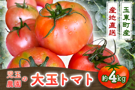 【先行予約】『児玉農園』の大玉トマト 約4kg《1月上旬-6月下旬頃より順次出荷》