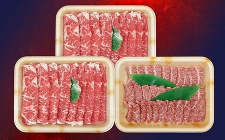 南関産牛のすき焼き&焼肉セット 計1kg(2~3人前)