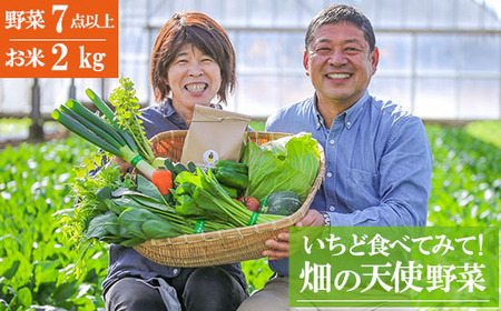 [お試し単品]いちど食べてみて「畑の天使」野菜[お米2kg入り]おまかせ 詰め合わせ 旬 野菜セット 新鮮 こだわり 朝採れ 採れたて フレッシュ サラダ 料理 人気 おすすめ 産地直送 熊本県 南関町