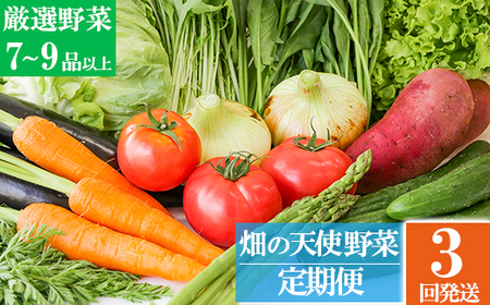 [定期便 3ヶ月]「畑の天使」定期便(年3回)[野菜のみ]おまかせ 詰め合わせ 旬 野菜セット 新鮮 こだわり 朝採れ 採れたて フレッシュ サラダ 料理 人気 おすすめ 産地直送 熊本県 南関町