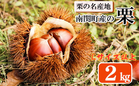 栗の名産地・熊本県南関町産の栗 2kg