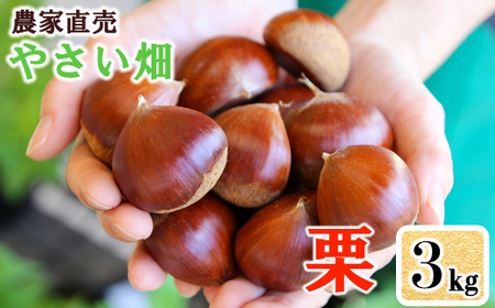 やさい畑の美味しい栗 3Kg 9月中旬から順次発送