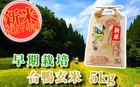 [令和7年産]早期栽培 合鴨玄米 5kg 南関町産 単一原料米 コシヒカリ 産地直送