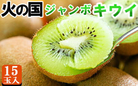 ΂̍W{LEC 15ʁyʁEnz 傫