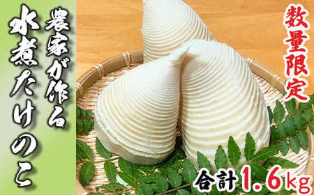 [手軽に使える]生産農家が作る!水煮たけのこ 1.6kg 産地直送 新鮮 無添加 若手農家 応援 小分け 惣菜 筍 タケノコ 和食