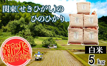 yߘa7NYz֓(Ђ)̂Ђ̂Ђ  5kg ^ pbN F{ ֒Y Pꌴ qmqJ Yn 