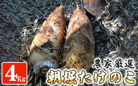 ystz_ƌIux̂v 4kg\ 4{ F{ ֒Y t 