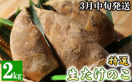 ystzI ̂ 2kg\ 3{ F{ ֒Y t 