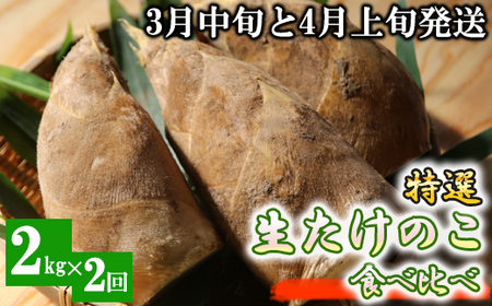 ystzI ̂ Hה 2kg×2 \ 3{4{2񔭑 F{ ֒Y t 