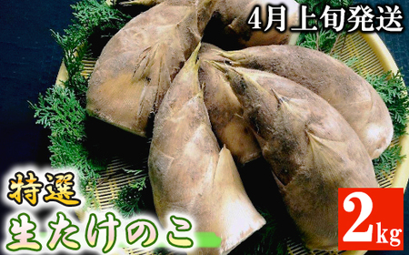 �y��s��t�z���I �������̂� 2kg�\�� 4����{���� �F�{�� ��֒��Y �t �