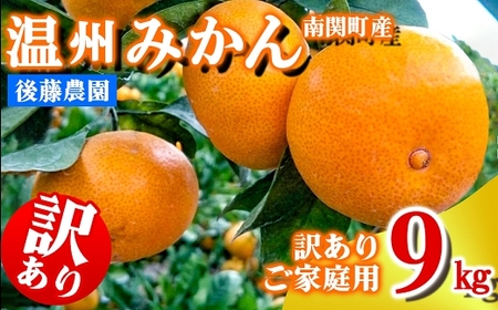 ���ƒ�p �㓡�_�� ���B�݂��� 9kg �󂠂� �F�{�� ��֒� �t���[�c �ʕ� �������� ���k