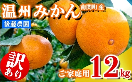 ���ƒ�p �㓡�_�� ���B�݂��� 12kg �󂠂� �F�{�� ��֒� �t���[�c �ʕ� �������� ���k