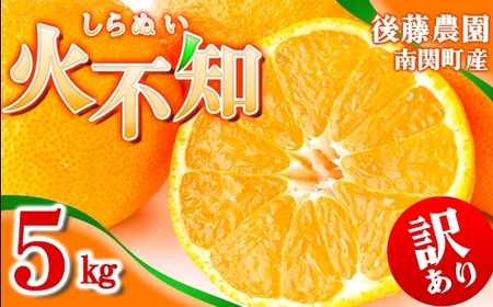 ���ƒ�p �y��s��t�z�㓡�_�� �s�m�� 5kg �󂠂� �F�{�� ��֒� �t���[�c �ʕ� �������� ���k