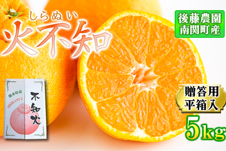 �y��������z�㓡�_�� �s�m�� 5kg �M�t�g �v���[���g �����p ��֒��Y �t���[�c �ʕ� �������� ���k ���Y