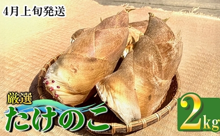 �y��s��t�z���@�����̂� 2kg�\�� 4����{���� �F�{�� ��֒��Y �t �