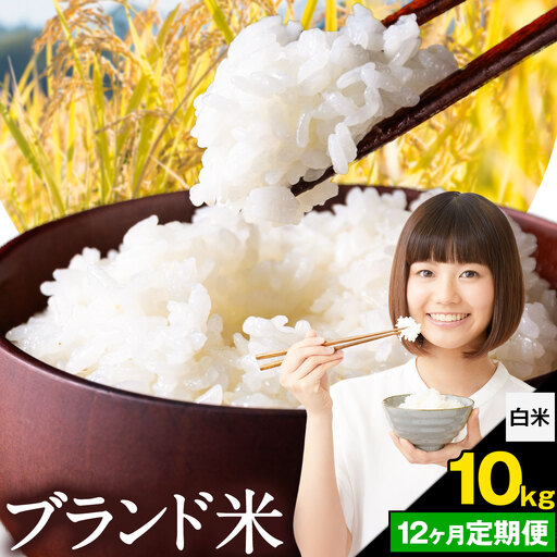 [12ヶ月定期便]米 南関町 単一原料米 (ひのひかりorにこまるorくまさんの輝き) 白米 10kg[お申込み翌月から出荷]熊本県産 国産 白米 こめ コメ 10キロ