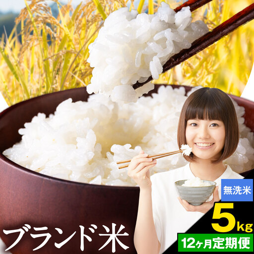 [12ヶ月定期便]米 南関町 単一原料米 (ひのひかりorにこまるorくまさんの輝き) 無洗米 5kg[お申込み翌月から出荷]熊本県産 国産 無洗米 こめ コメ 5キロ