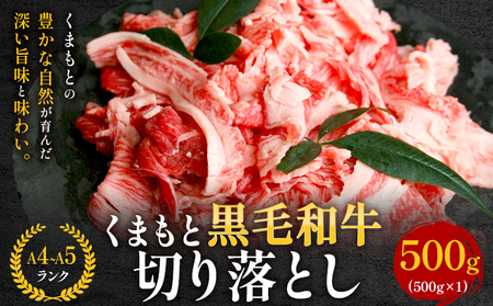 [A4〜A5]くまもと黒毛和牛 切り落とし 500g [30日以内に出荷予定(土日祝除く)] 牛肉 くまもと黒毛和牛 黒毛和牛 冷凍庫 切り落とし