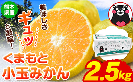 訳あり みかん 小玉みかん くまもと小玉みかん2.5kg (2.5kg×1箱) 秋 旬 不揃い 傷 ご家庭用 SDGs 小玉 たっぷり 熊本県 産 S-3Sサイズ フルーツ 旬 柑橘 長洲町 温州みかん[10月下旬-11月中旬頃出荷]