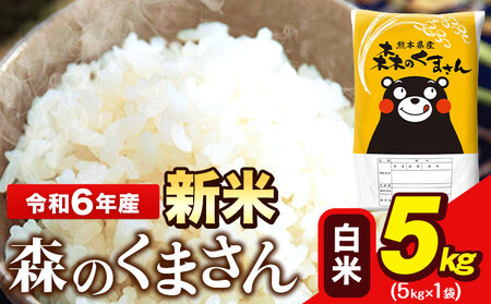 [最短翌日発送] 米 令和6年産 森のくまさん 5kg × 1袋 白米 熊本県産 単一原料米 森くま[1-5日以内に出荷予定(土日祝除く)]送料無料