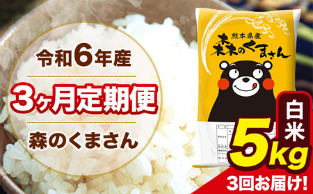令和6年産 森のくまさん 白米 5kg 5kg×1袋 計3回お届け [お申し込み月の翌月から出荷開始] お米 こめ 熊本県産 ご飯 備蓄