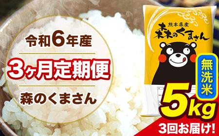 令和6年産 森のくまさん 無洗米 5kg 5kg×1袋 計3回お届け [お申し込み月の翌月から出荷開始] お米 こめ 熊本県産 ご飯 備蓄