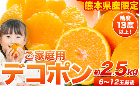 ご家庭用 デコポン デコポン約2.5kg前後(約6-12玉前後)[2026年2月上旬-4月末頃出荷]不知火 熊本県産 熊本県 長洲町 糖度13度以上