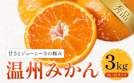温州みかん 約3kg 日本フルーツ株式会社 熊本県 長洲町 [11月上旬〜12月上頃に出荷予定(土日祝除く)] 果物 秀品 フルーツ スイーツ デザート ギフト ご贈答