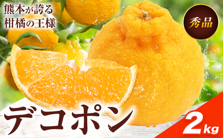 デコポン 約2kg 日本フルーツ株式会社 熊本県 長洲町 [2026年1月下旬-2月末頃出荷予定] 熊本県 長洲町 送料無料 デコポン 果物 秀品