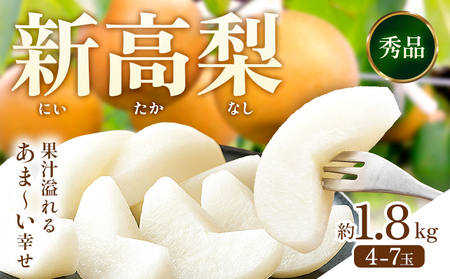 新高梨 約 1.8kg(4〜7玉) 日本フルーツ株式会社[9月上旬-10月末出荷]熊本県 荒尾市 新高梨 梨 果物 フルーツ スイーツ デザート ギフト ご贈答