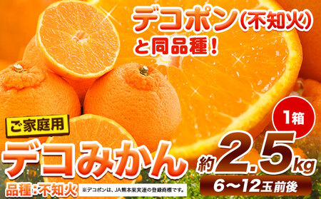 ご家庭用 デコみかん 約2.5kg 6〜12玉前後[2026年2月上旬-4月末頃より出荷予定]デコポン(不知火)と同品種 熊本県産 熊本県 長洲町 訳あり