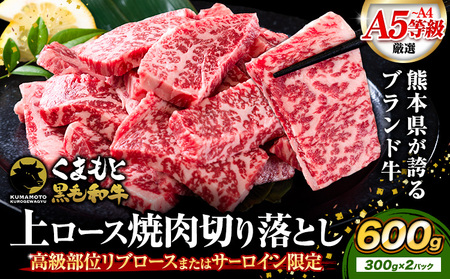 牛肉 A4～A5等級 黒毛和牛 切り落とし くまもと黒毛和牛 上 ロース 焼肉切り落とし 600g 《30日以内に出荷予定(土日祝除く)》熊本県 長洲町 上ロース 焼肉用 焼肉 肉 お肉 和牛 A5 A4 300g 小分け リブロース サーロイン