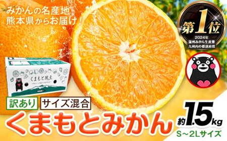 �݂��� �󂠂� ���܂��Ƃ݂��� ��1.5kg S-2L�T�C�Y �T�C�Y���� ���ƒ�p�s7-14���ȓ��ɏo�ח\��(�y���j����)�t �󂠂� �݂��� �t���[�c �T�C�Y���� �H �{ ���k �F�{�� ���F�� �F�{���Y ���F���Y