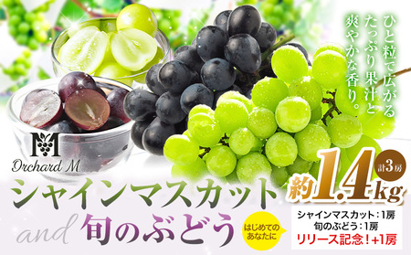 [プラスワン企画実施中] シャインマスカット 1房・旬のぶどう 1房 + お試しぶどう 1房 計 1.4kg Orchard M[8月中旬-10月上旬頃出荷]熊本県 長洲町 果物 フルーツ スイーツ デザート