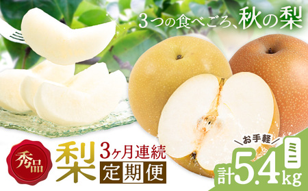 [3ヶ月定期便]梨 定期便 秀品 3ヶ月連続 梨の定期便 ミニ 計5.4kg 日本フルーツ株式会社[8月上旬-10月末頃出荷]熊本県 長洲町 なし ナシ 豊水梨 秋月梨 新高梨 果物 フルーツ