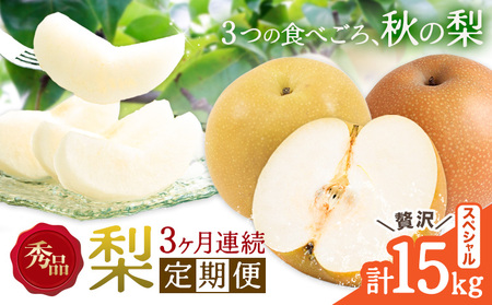 [3ヶ月定期便]梨 定期便 秀品 3ヶ月連続 梨の定期便 スペシャル 計15kg 日本フルーツ株式会社[8月上旬-10月末頃出荷]熊本県 長洲町 なし ナシ 豊水梨 秋月梨 新高梨 果物 フルーツ