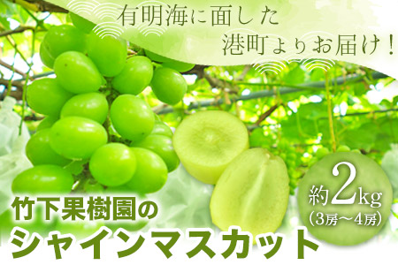 竹下果樹園のシャインマスカット 約2kg(3～4房) 《8月上旬-9月上旬頃より順次出荷》熊本県長洲町産 竹下果樹園