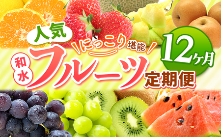 【 定期便 12回 】 ニッコリ 堪能 ！ 人気 フルーツ ご家庭用  熊本県なごみ町 | 熊本県 熊本 くまもと 和水町 なごみ フルーツ 果物 いちご みかん 不知火 スイカ メロン イエローキング 肥後グリーン キウイ ぶどう シャインマスカット 梨 柿 厳選 旬 定期 定期