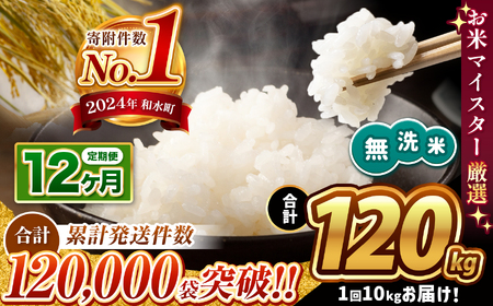 令和6年産 [定期便12回] 熊本県産 ほたるの灯り 無洗米 10kg | 小分け 5kg × 2袋 熊本県産 こめ 米 無洗米 ごはん 銘柄米 ブランド米 単一米 人気 日本遺産 菊池川流域 こめ作り ごはん ふるさと納税 返礼品無洗米