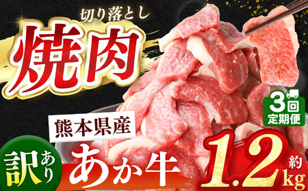 y 3 z󂠂 F{Y  ē ؂藎Ƃ  1.2kg  | F{ a ܂ Ȃ    ̐ԋ XCX Ⓚ ؗ ɂ    ʌ lC F{