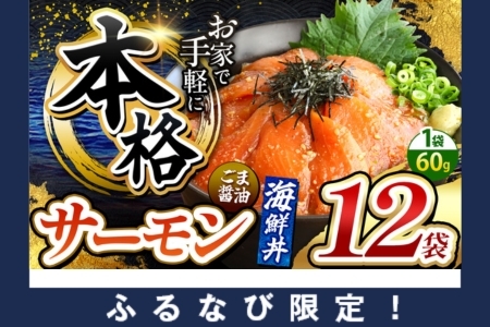 [ふるなび限定]本格! ごま醤油 海鮮丼 サーモン 12袋 FN-Limited | 熊本県 和水町 くまもと なごみ 魚 海鮮 肥後 海鮮丼 スライス 冷凍 漬け さかな 漬け丼 小分け 数量限定 人気 熊本県 熊本