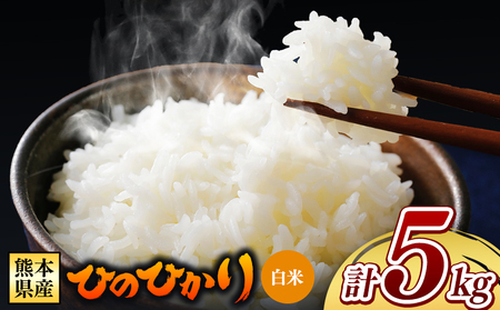 令和7年産 熊本県産 ひのひかり 白米 5kg 米 こめ