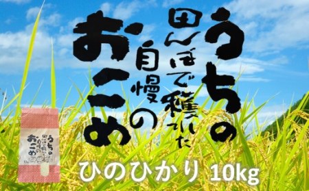 令和5年産 松村さんちの田んぼで穫れたお米「ひのひかり」10kg