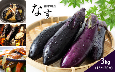 なす 3kg 和水町産 野菜 5月下旬〜発送いたします | 熊本県 熊本 くまもと 和水町 なごみまち なごみ なす ナス 茄子 なすび 野菜 季節の野菜 季節限定