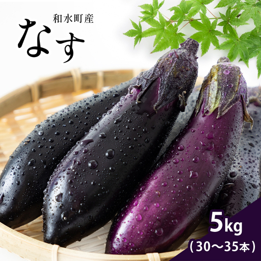 なす 5kg 和水町産 野菜 5月下旬～発送いたします 野菜